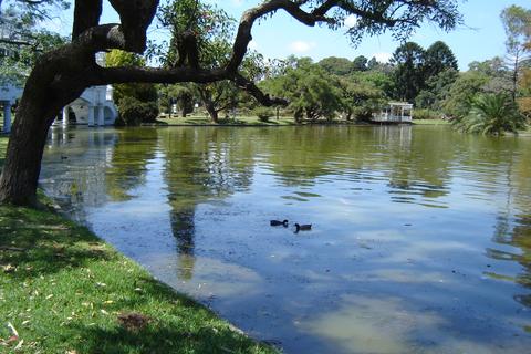 Bosques de Palermo (Parque Tres de Febrero)