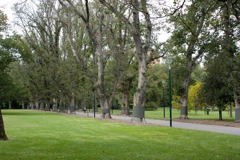 Fitzroy Gardens