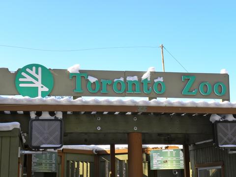 Toronto Zoo