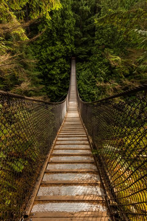 Lynn Canyon Park & Suspension Bridge