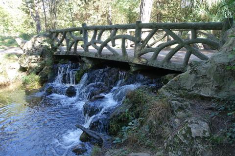 Bois de Vincennes