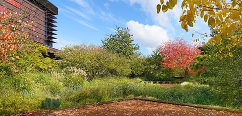 Musée du quai Branly - Jacques Chirac