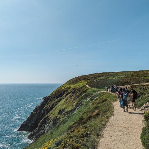 Howth Head and Cliff Walk