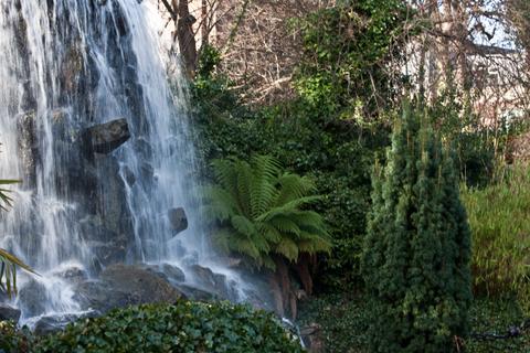 Iveagh Gardens