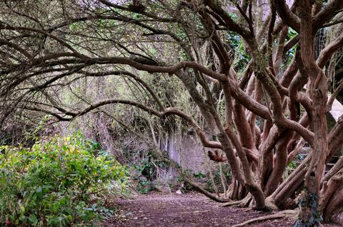 Malahide Castle & Gardens