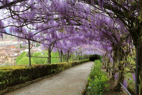 Bardini Garden