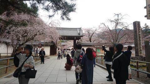 Daigo-ji Temple