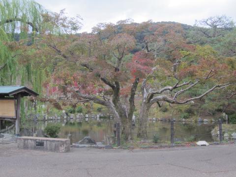 Maruyama Park