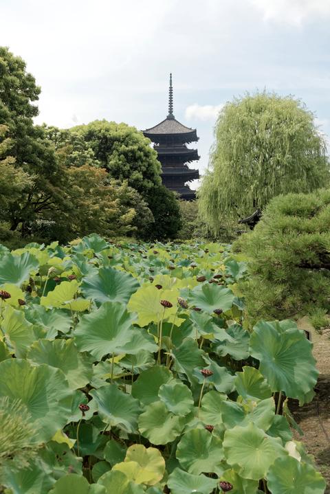 To-ji Temple