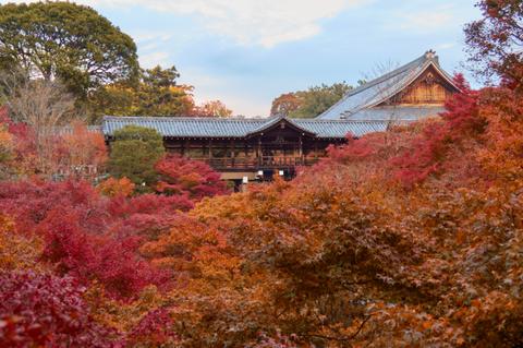 Tofuku-ji Temple