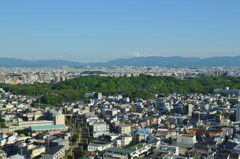 Mozu-Furuichi Kofun Group