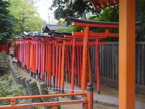 Nezu Shrine