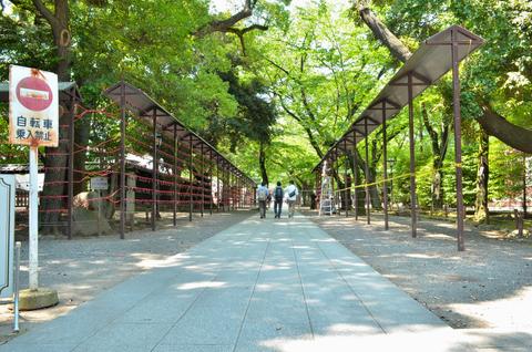 Yasukuni Shrine
