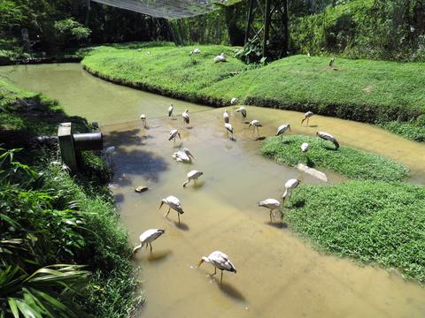 KL Bird Park