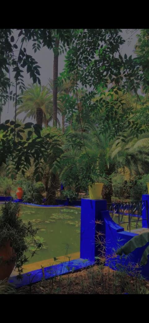 Yves Saint Laurent Museum