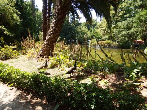 Crystal Palace Gardens (Jardins do Palacio de Cristal)