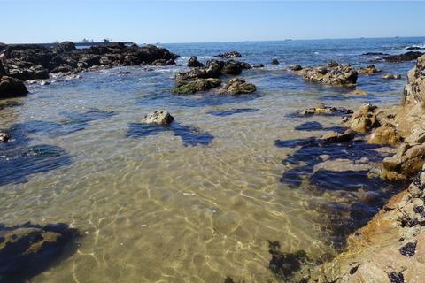Matosinhos Beach