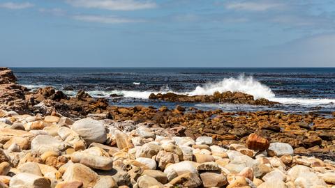 Cape of Good Hope