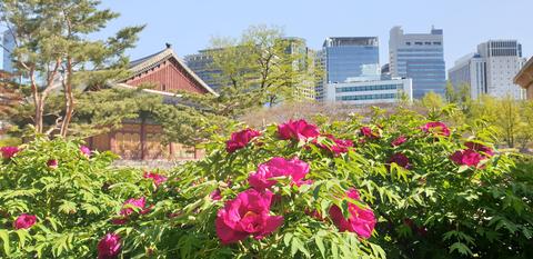 Deoksugung Palace