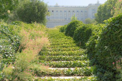 Campo del Moro Gardens