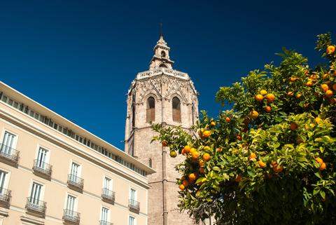 El Miguelete