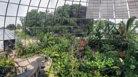 Botanical Garden of the University of Zurich
