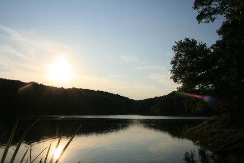 Belgrad Forest