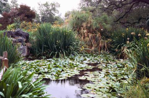 Los Angeles County Arboretum and Botanic Garden