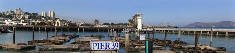 Pier 39